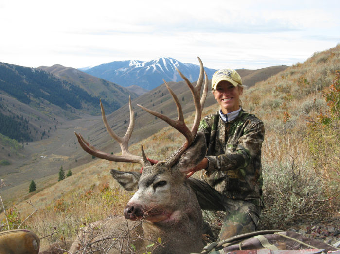 Mule Deer Buck